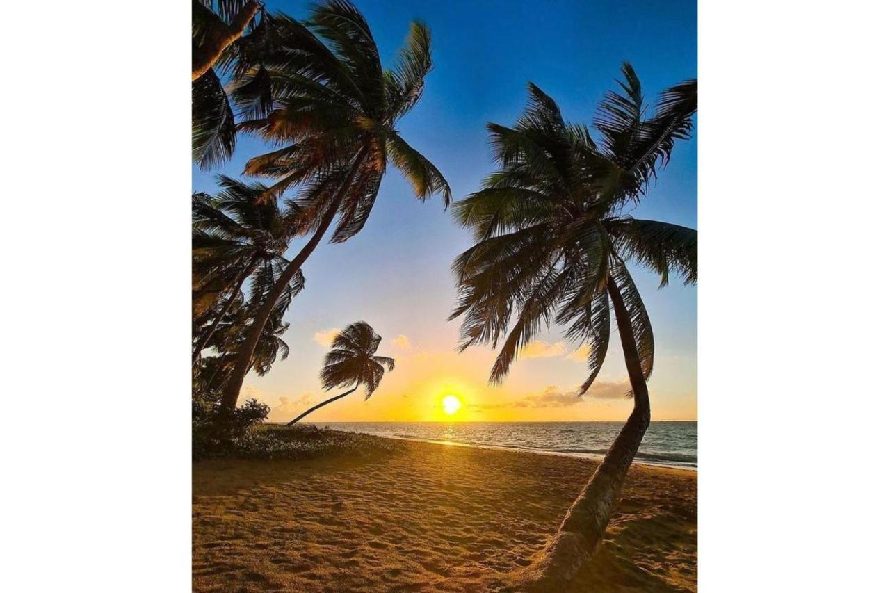 Mare Suites Patacho Pôrto de Pedras Zewnętrze zdjęcie